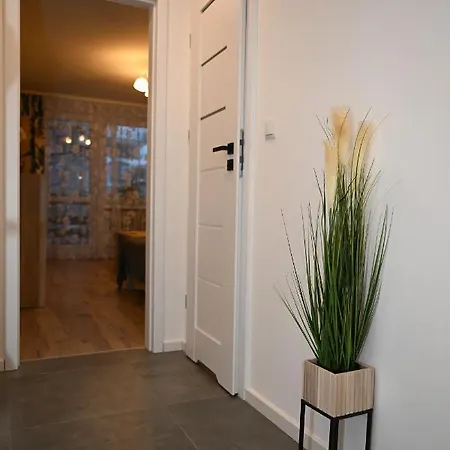Niezapominajka przy Krupówkach APARTZAKOP-3