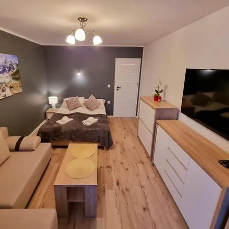 Niezapominajka przy Krupówkach APARTZAKOP-2